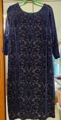 Ignite Evenings Size 22W Blue Velvet Burnout Dress Scoop Neck 3/4 Sleeves V-Back