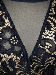 EN FOCUS STUDIO Plus Size 14W Sheath Dress Blue Floral Lace Sparkles Sleeveless
