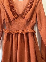 Altar’d State V-Neck Sheer Long Sleeve Ruffle Mini Dress Women’s XS Rust Orange