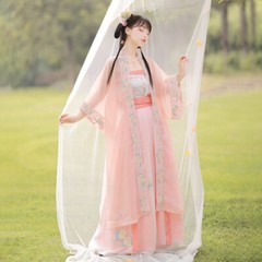 Embroidered Hanfu Gown Suspender Pleated Skirt Female Summer Retro Dress Set