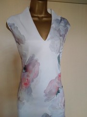 Ted Baker &lsquo;Marah&rsquo; Floral Bodycon Midi Dress Size 4 (uk 14)