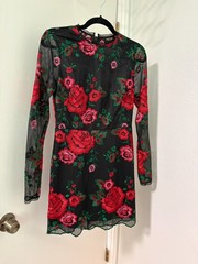 Nasty Gal Collection Women&rsquo;s S Black Mesh Red Rose Floral Embroidered Mini Dress