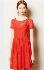 NWT Anthropologie STELLA LACEWORKS DRESS Sz 6 Tracy Reese Plenty BLAZE BEAUTY