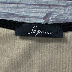 Soprano Womens Dress sz L Black Tan Lined Illusion Pullover Fit & Flare Stretch
