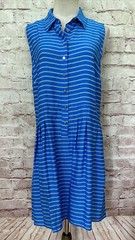 Covington Womens Blue Striped Button Front Sleeveless Shirt Dress Size 10 NEW