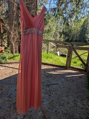 Maria Bianca Nero long Dress Sz S peach orange new with tags