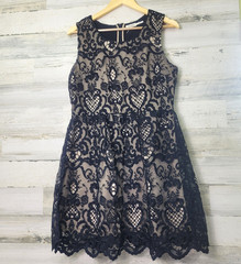 Blu Pepper Embroidered Lace Dress Size L Black Tan Lined Sleeveless Fit Flare