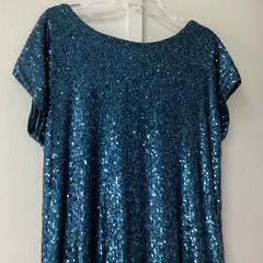Cable & Gauge Blue Sequin Short Sleeve Shift Dress Women&rsquo;s M Party Cocktail New
