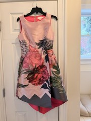 Ted Baker London Joyclyn Palace Gardens Asymmetric Dress UK Size 1