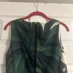 Alice and Olivia Shift Italy In Italian Dress Size 2 NEW NWT