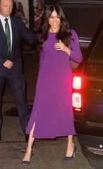 Aritzia Babaton RARE Maxwell Dress