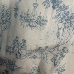 Bridgerton Celebrity Pink Dress XL White Blue Basque Waist Midi Toile Coquette