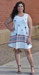 New PLUS SIZE Womens USA OVERSIZED AMERICAN STARS SLEEVELESS DRESS XL 1X 2X 3X