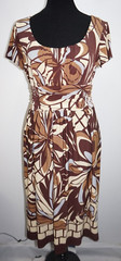 Dressbarn Brown Beige Gray Empire Waist A Line Dress Sz 6 Abstract