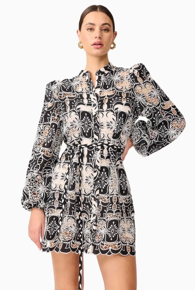 Elliatt Jolie Long Sleeve Mini Dress Size XS S M L XL Embroidered Lace NEW