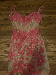 Sherri Hill Pink Beige Mesh Lace Beaded Corset Mermaid Long Dress Size 0