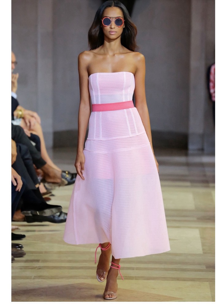 Carolina Herrera Runway Spring 2016 $2300 Size 8 Pink Corset Dress New With Tags