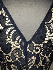 EN FOCUS STUDIO Plus Size 14W Sheath Dress Blue Floral Lace Sparkles Sleeveless