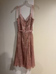 Ann Taylor Women&rsquo;s pink/Gold Metallic Lace Ribbon Straps/belt Size 4
