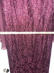 Ignite Evenings Fig Lace Beaded Sequin Long Gown Dress Size 16 Cape Sleeve