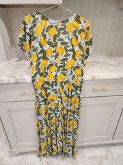 Parsley and Sage Lemon Print Dress