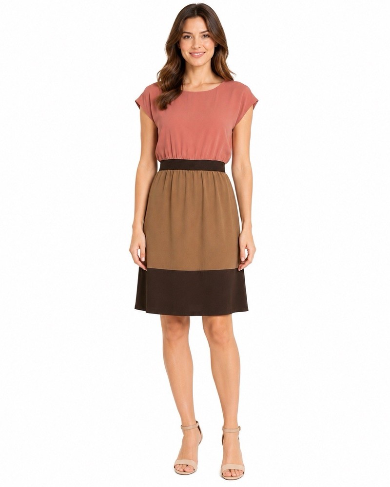 Smart Set Colorblock Dress Size 12 Pink Tan Brown Cap Sleeve Workwear