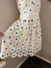 Boston Proper Daisy Fit and Flare Dress Embroidered Floral Sleeveless Boho 14