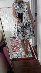 RN Studio by Ronni Nicole Floral Fit & Flare Dress , Size 10, 98% cotton