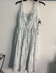 Bridgerton Celebrity Pink Dress XL White Blue Basque Waist Midi Toile Coquette