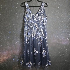 Alex Evenings Dress Sz 12 Navy Blue Floral Embroidered Mesh Fit & Flare NWT