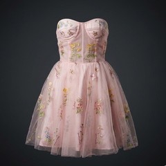Romantic Embroidered Floral Tulle Mini Dress Fairycore Lace-Up Corset Back Small