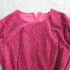 Boden Dress Womens Tall 10L Pink Floral Corduroy Belted Fit Flare Long Sleeve