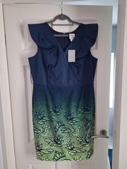 Disney Dress Size XL