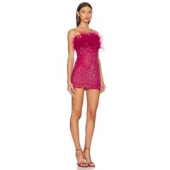 with tags Retrofete Torin Dress in Fuchsia L G2U