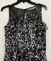 Basix II Nylon Dress 6 Black Silver Sequin Tulle Fit Flare Party Cocktail Skater